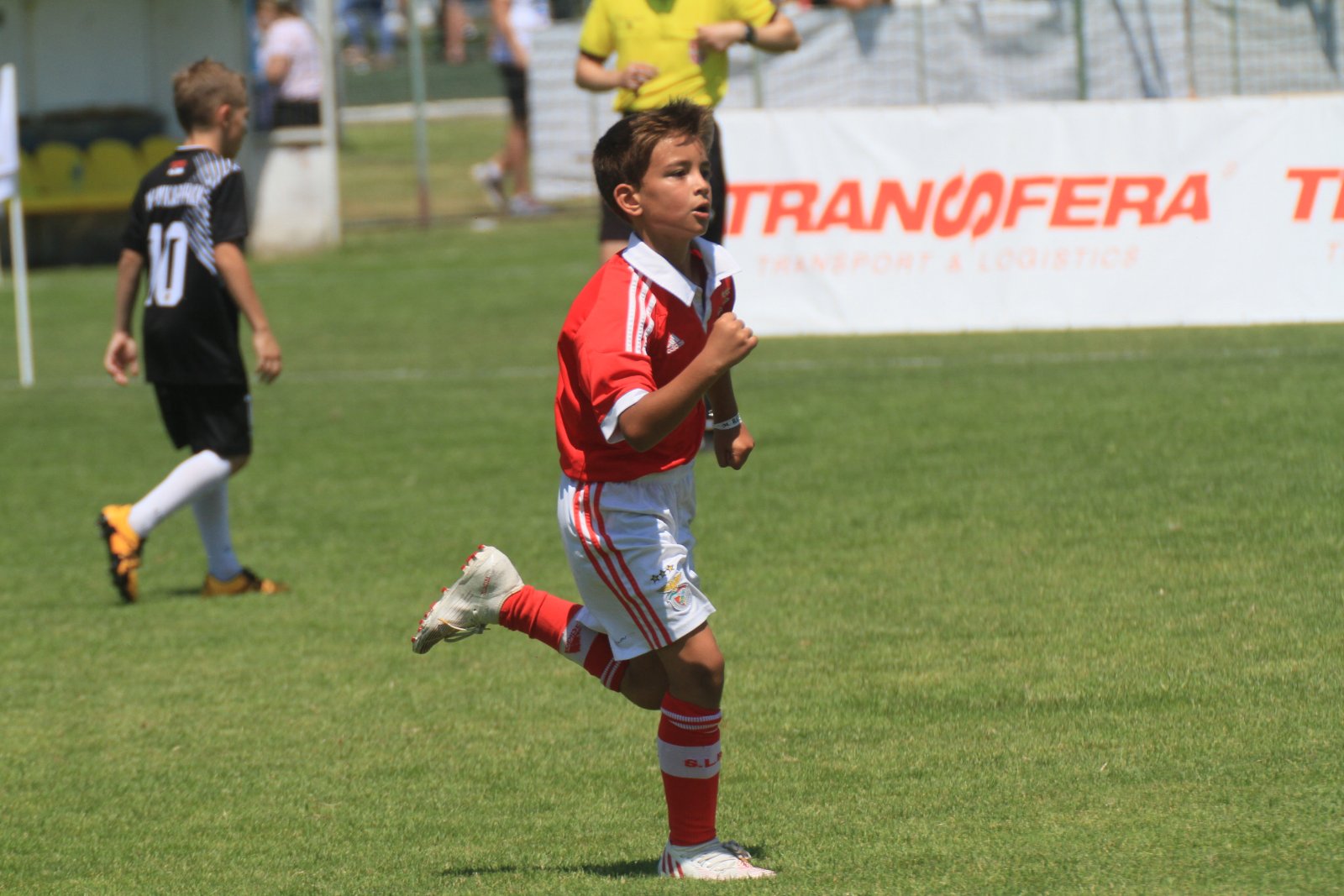 Transfera ist erneut stolzer Sponsor des „Dragan Mance Cup“